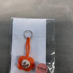 Sleutelhanger Oranje, ako bolo nahlásené Arriva Friesland / Groningen pomocou iLost