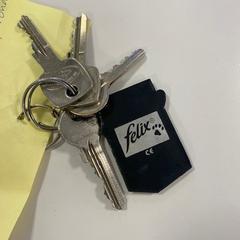 키체인, iLost를 사용하여 Gemeente Ede에 보고됨