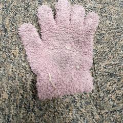 Guantes, ha sido reportado por DierenPark Amersfoort con iLost