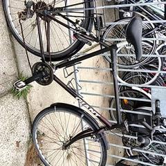 Pánské kolo giant, jak nahlášeno Stadswerk072 pomocí iLost