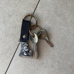 Keys, ako bolo nahlásené iLost