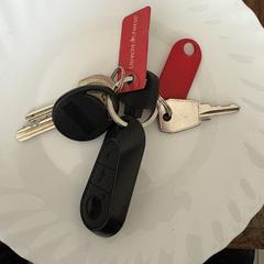 Sleutelbos, as reported to iLost