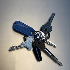 Sleutelbos, iLost-i jakinarazi zaion moduan