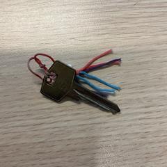 Kľúč, ako bolo nahlásené Gemeente Arnhem pomocou iLost