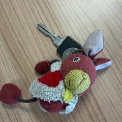 Claus, segons ha informat Connexxion Amstelland-Meerlanden Schiphol Zuid mitjançant iLost