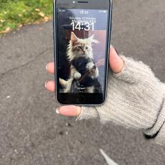 iPhone, som rapporterats till iLost