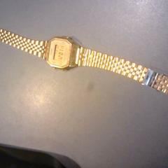 Náramkové hodinky, ako bolo nahlásené SnowWorld Landgraaf pomocou iLost