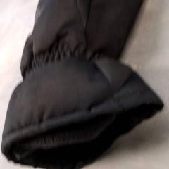 Handschuh Zwart, gemeldet von Arriva Friesland / Groningen über iLost