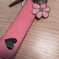 Sleutels がiLostで Qbuzz Fryslân によって報告されました