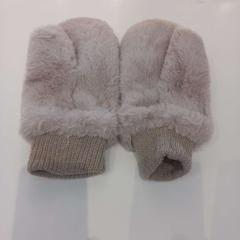 Mitaines, a été signalé par Arriva Limburg Zuid utilisant iLost