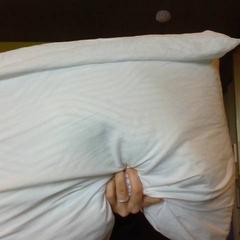 Cuscino, come riportato da MEININGER Hotel Lyon Centre Berthelot utilizzando iLost