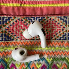 EarPods, iLost에 보고됨