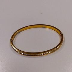 Náramok, ako bolo nahlásené Vrije Universiteit Amsterdam pomocou iLost