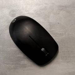 Mouse Zwart, as reported by Arriva Friesland / Groningen using iLost