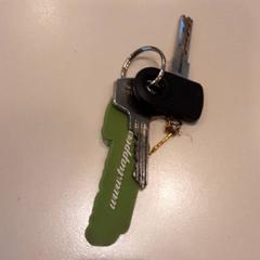 İLost kullanarak LUMC tarafından bildirildiği gibi Anahtar