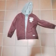 Veste, come riportato da Apenheul utilizzando iLost