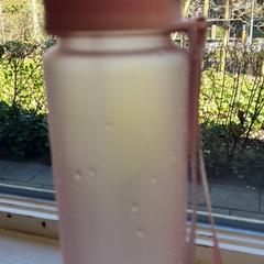 Láhev na vodu Roze, jak nahlášeno DierenPark Amersfoort pomocí iLost