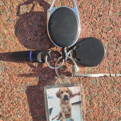 Sleutelbos がiLostに報告されました