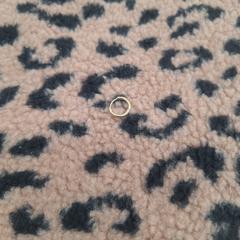 Gouden oorbel がiLostに報告されました