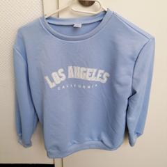 스웨터 Hellblau mit Druck, iLost를 사용하여 Wilmering Vechta에 보고됨