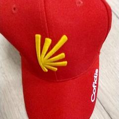 Cap Rood, segundo informou Arriva Limburg Zuid usando iLost