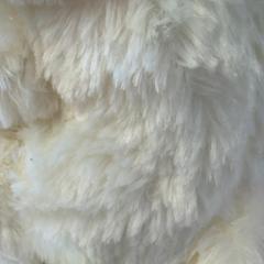 Mazlící hračka, jak nahlášeno GVB pomocí iLost