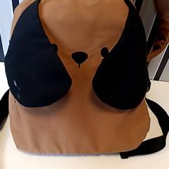 Ryggsekk, som rapportert av U-OV Amersfoort ved bruk av iLost