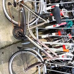 Women’s bike Giant, as reported by Stadswerk072 using iLost