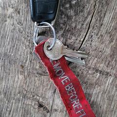 Autosleutels en huissleutels, ako bolo nahlásené iLost