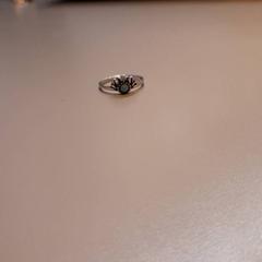 Hole Zilver met blauw steentje, come riportato da Faculteit Geesteswetenschappen utilizzando iLost