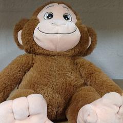 Knuffel, as reported by Qbuzz GD Groningen Peizerweg using iLost