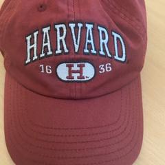 Kappe, gemeldet von Schönbrunn "Group Center" über iLost