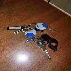 Clés, a été signalé par Leonardo Hotel Amsterdam Rembrandtpark utilisant iLost