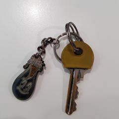 Sleutel، كما تم الإبلاغ عنه بواسطة Gemeente Oost Gelre عبر iLost