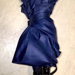 Parapluutje blauw, como reportado por Qbuzz DMG utilizando o iLost