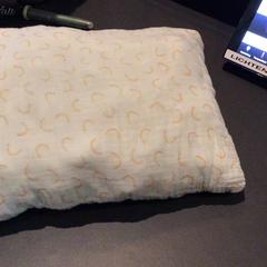 Almofada, segundo informou Van der Valk Hotel Amsterdam Zuidas usando iLost