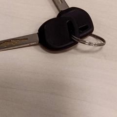 Klíče, jak nahlášeno Gemeente Diepenbeek pomocí iLost