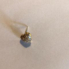 Örhänge, rapporterat av Attractie- & Vakantiepark Slagharen med iLost