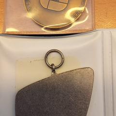 gedenkmunten, como reportado ao iLost