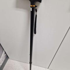 Bengala zwart, como reportado por IKEA Hengelo utilizando o iLost