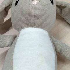 Knuffel, zoals gemeld door IKEA Gent met iLost