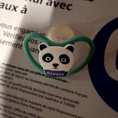 Maniquí, segons ha informat IKEA Paris - Plaisir mitjançant iLost