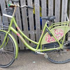 Rower Sparta groen, zgłoszono przez Fietsdepot Meierijstad przy użyciu iLost
