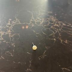 Oorbel, gemeldet von Van der Valk Hotel Veenendaal über iLost