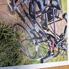 İLost kullanarak Gemeente Roermond tarafından bildirildiği gibi Bisiklet Gazelle