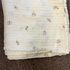 Hydrofil klut, som rapportert av Burgers' Zoo ved bruk av iLost