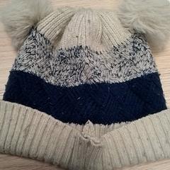 Beanie, amint azt Qbuzz Fryslân az iLost segítségével jelentette.