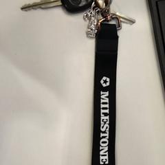 Sleutelbos, zoals gemeld door TU/e - Receptie MetaForum met iLost