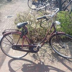 Bicicleta Batavus Bordeauxrood, segons ha informat Fietsdepot Meierijstad mitjançant iLost