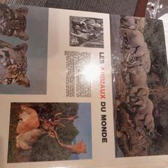 كتاب Les animaux du monde، كما تم الإبلاغ عنه بواسطة TCL عبر iLost